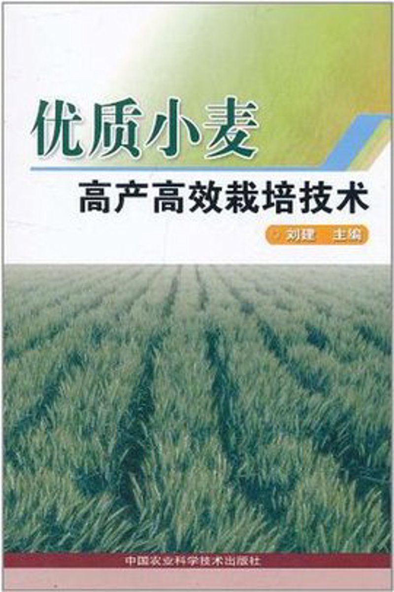 童鞋批发行业动态：从工厂到市场的一线观察